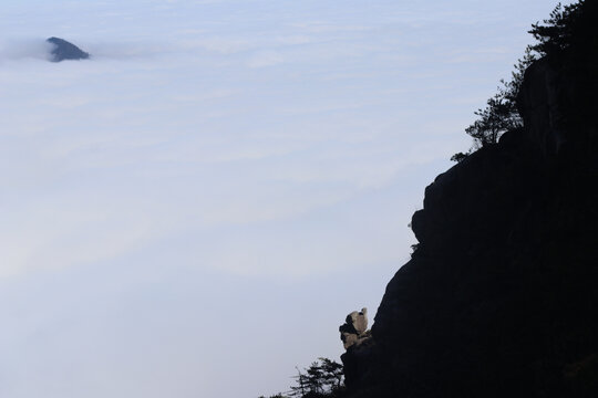 云海景区明月山高山高海拔