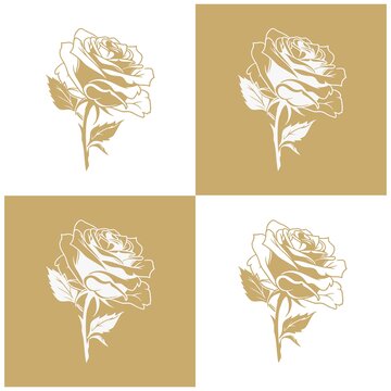 玫瑰花金色