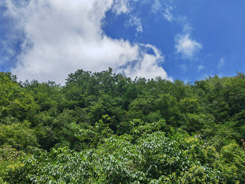 蓝天白云下的青山