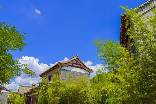 仰拍翠竹仿古建筑蓝天白云