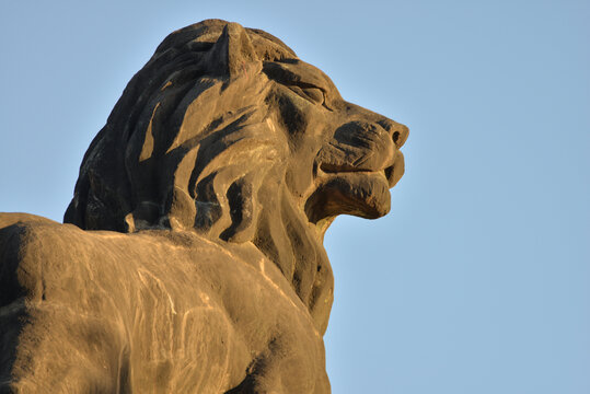 东方雄狮雕塑