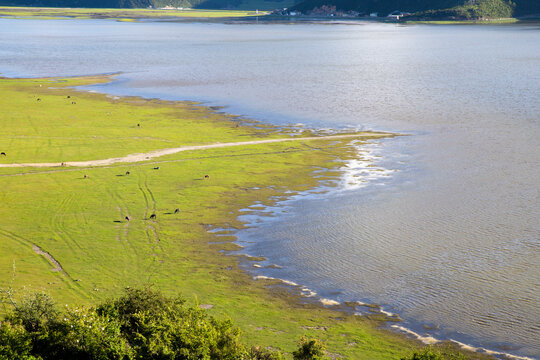 迪庆香格里拉纳帕海田园景色