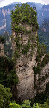 袁家界纵向全景图一柱擎天