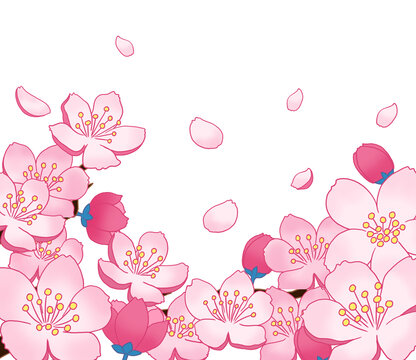 桃花邊框插畫