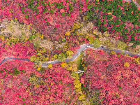 山東濟南紅葉谷秋天航拍