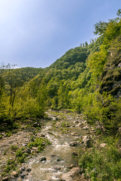 山川小溪