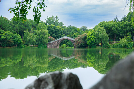 池塘小桥