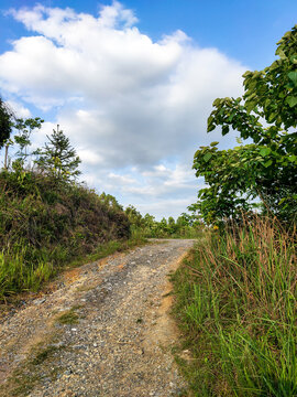 山间小路