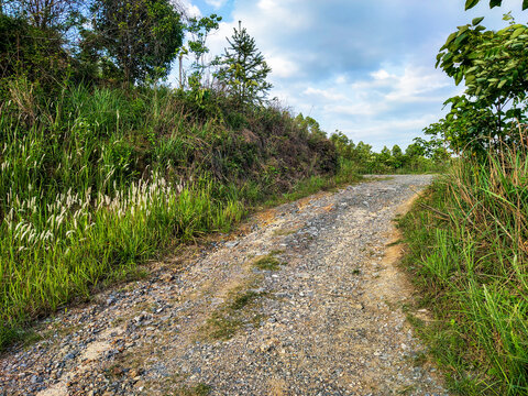 山间小路