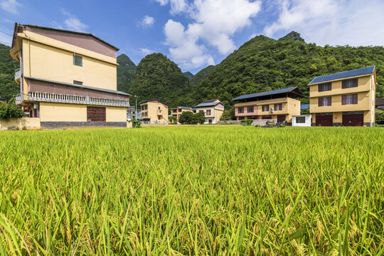 桂北新农村