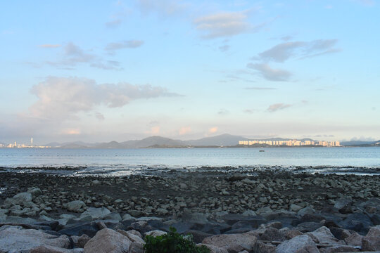 深圳城市海边退潮景色