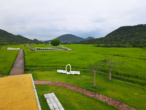 粮食生产基地