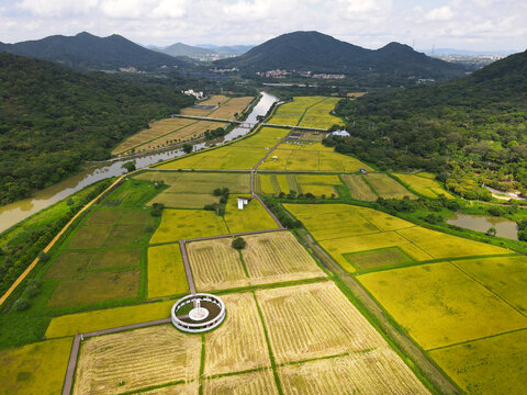 粮食生产基地