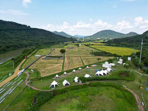 山区稻田