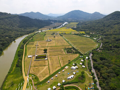 粮食生产基地