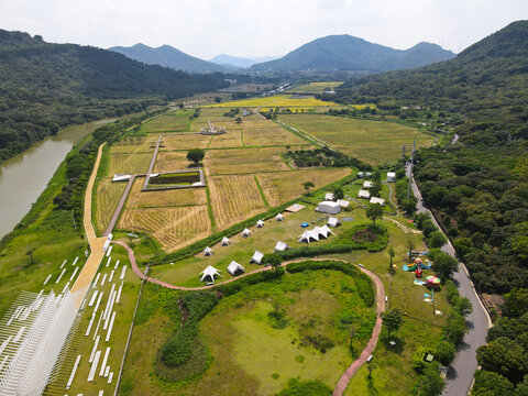 粮食生产基地