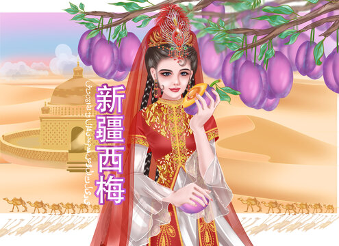 新疆西梅禮盒