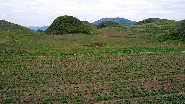 高山耕地