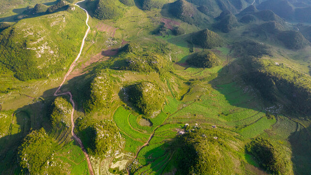 高山耕地