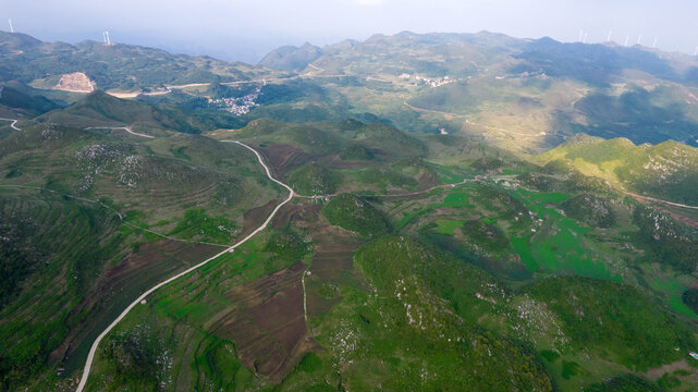 高山耕地