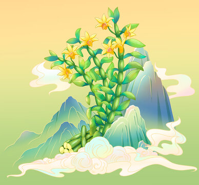 石斛插畫
