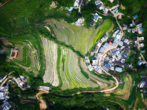 广东梅州大埔县坪山梯田