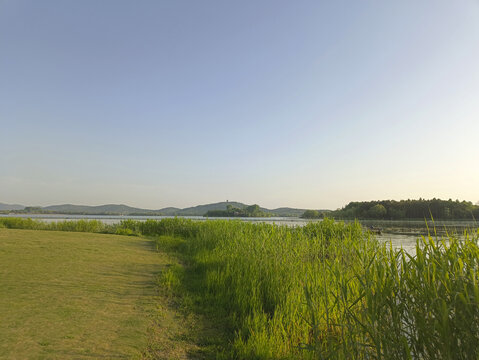 湖畔湿地公园