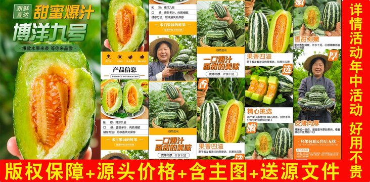 博洋9號(hào)甜瓜詳情頁(yè)