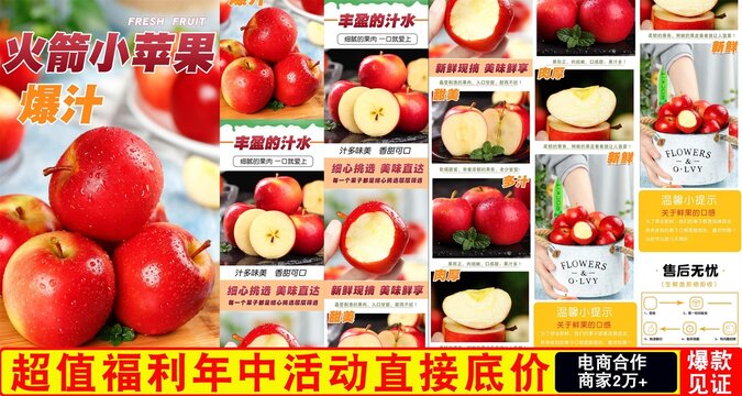 火箭小蘋果詳情