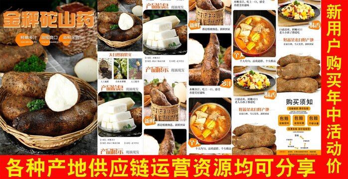 金秤砣山藥詳情頁