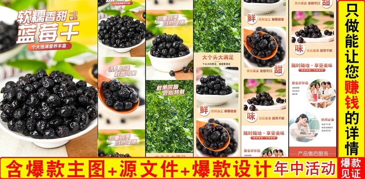 藍(lán)莓干詳情頁