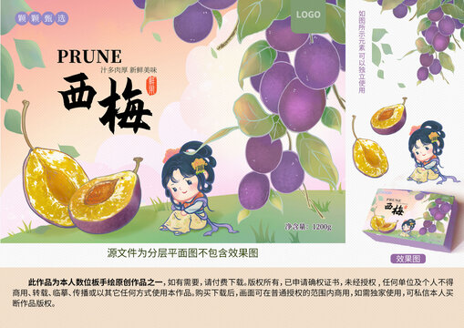 手繪西梅插畫