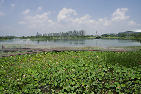 成都东安湖公园