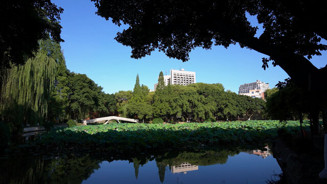 西南交通大学镜湖