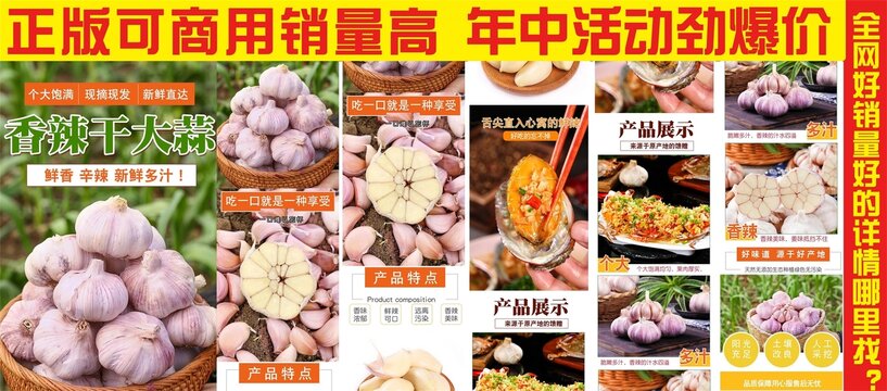 香辣干大蒜詳情