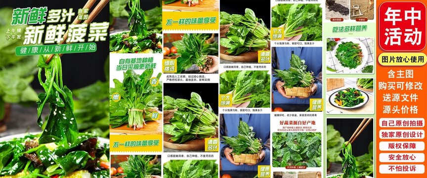 新鮮菠菜詳情