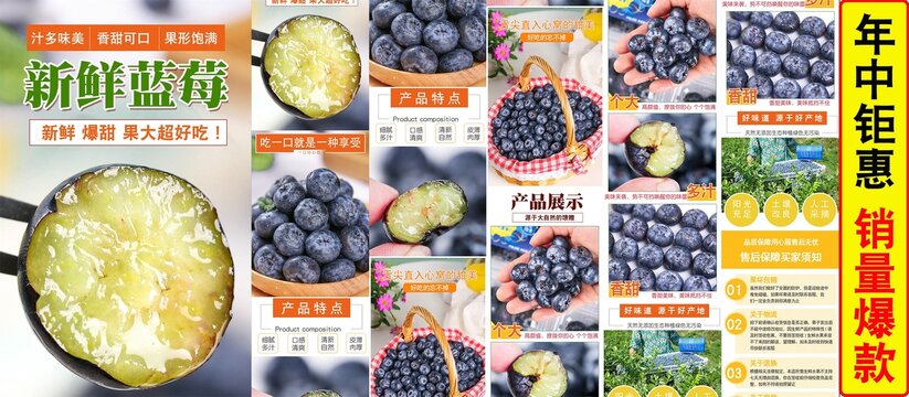 新鮮藍(lán)莓詳情
