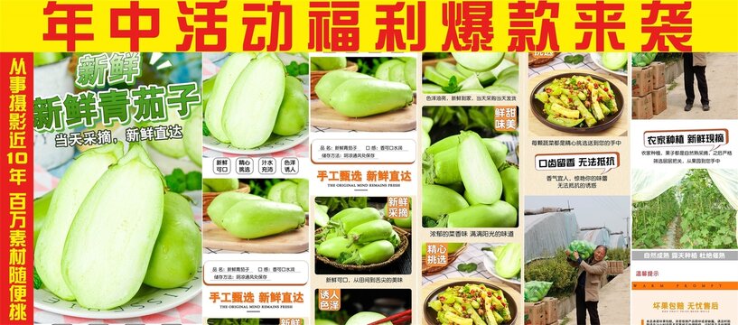 青茄子詳情頁