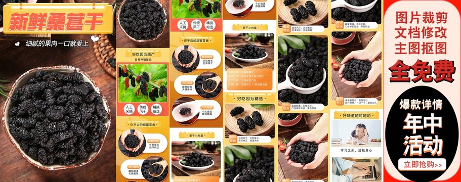 新鮮桑葚干詳情頁