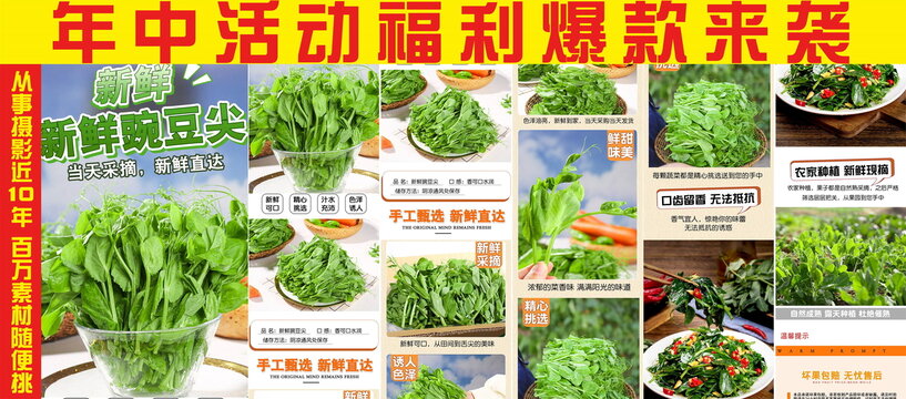新鮮豌豆尖詳情頁(yè)