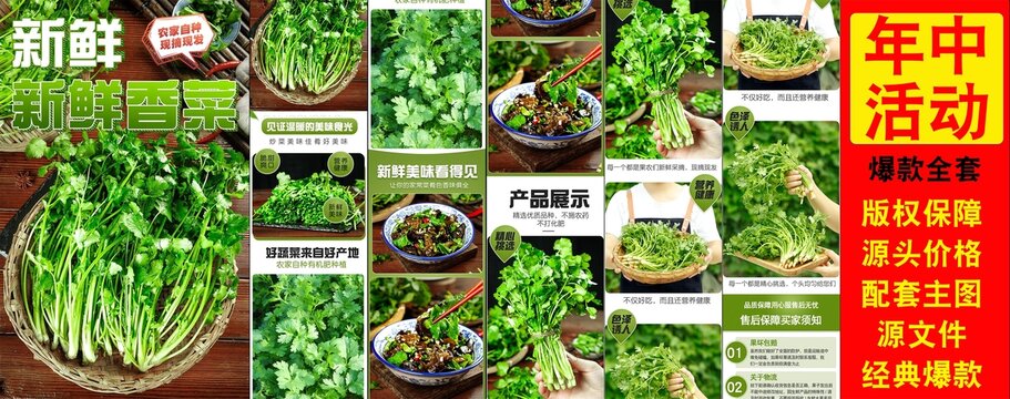 香菜详情页