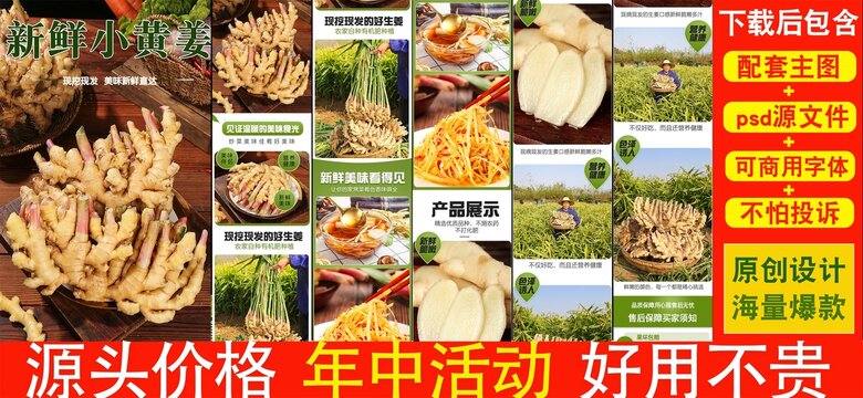 云南小黃姜詳情頁