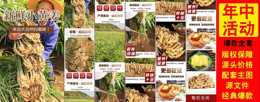 新鮮小黃姜詳情頁(yè)