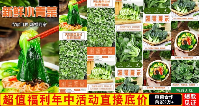 新鮮小青菜詳情頁