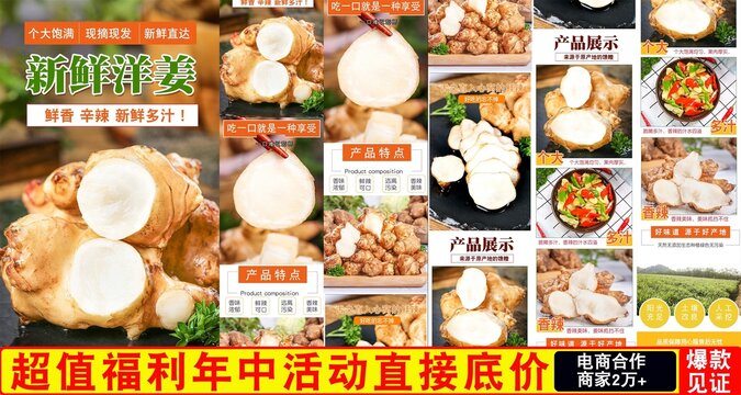 新鮮洋姜詳情