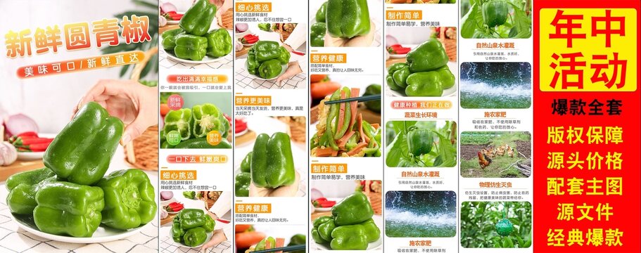 新鮮圓青椒詳情頁
