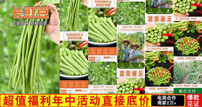 長豇豆詳情頁