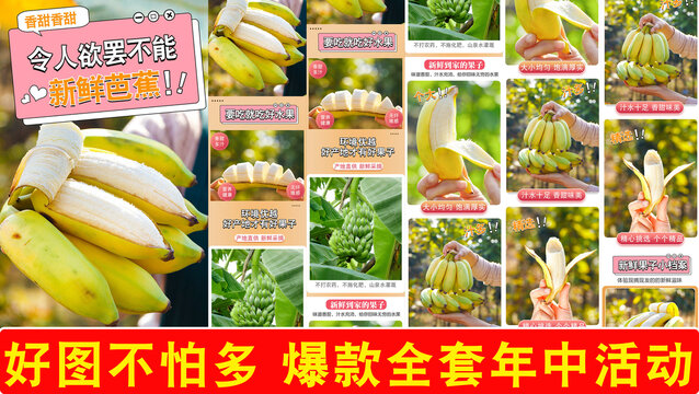 新鮮芭蕉詳情