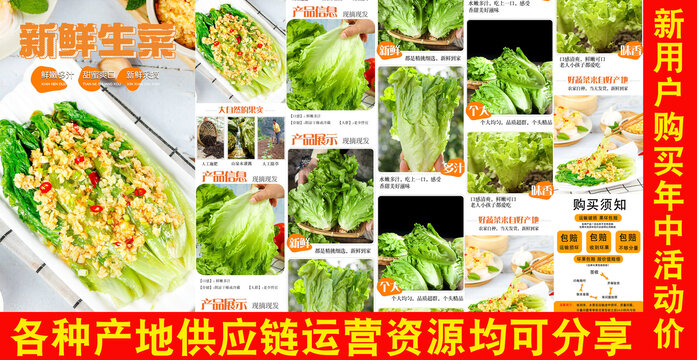 新鮮生菜詳情頁