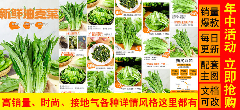 新鮮油麥菜詳情頁(yè)